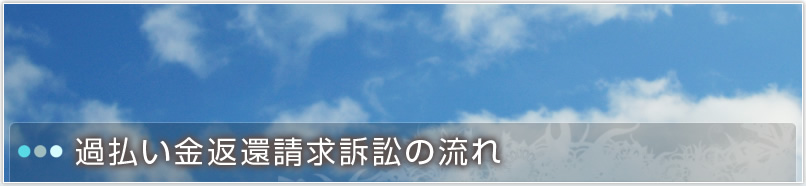 返還請求訴訟の流れ